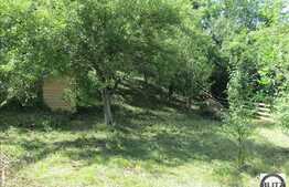 Casa de vanzare,103 mp utili, suprafata teren 1250 mp la pret convenabil