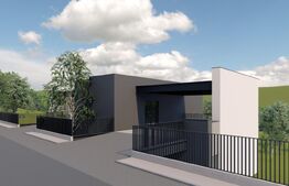 Duplex cu 4 camere, garaj, terasa, zona Vivo