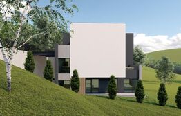 Duplex cu 4 camere, garaj, terasa, zona Vivo