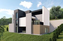 Duplex cu 4 camere, garaj, terasa, zona Vivo