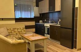 Apartament 2 camere, semidecomandat, pet friendly, Gheorgheni