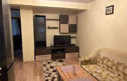 Apartament 2 camere, semidecomandat, pet friendly, Gheorgheni