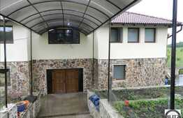 Casa de vanzare, 600 mp utili si teren 3.000 mp, D+P+E