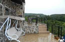 Casa de vanzare, 600 mp utili si teren 3.000 mp, D+P+E