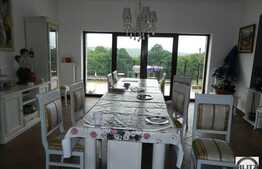 Casa de vanzare, 600 mp utili si teren 3.000 mp, D+P+E