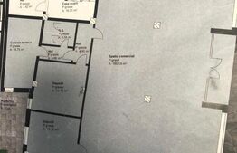 Spatiu comercial, 250 mp, vizibilitate excelenta, 4 parcari, Someseni