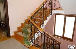 Casa individuala 5 camere, 1000 mp teren in Faget si terasa pe acoperis 100 mp!