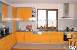 Casa individuala 5 camere, 1000 mp teren in Faget si terasa pe acoperis 100 mp!