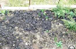 Casa semifinisata de vanzare 245 mp cu teren 520 mp!