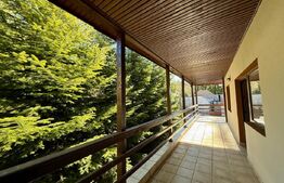 Casă P+2 în Predeal, Cioplea – vedere spre pârtia Clăbucet și Crucea Caraiman