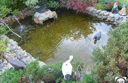 Casa individuala, 400 mp utili, 800 mp gradina. O oaza de relaxare!