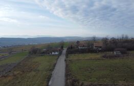 Teren 19.375 mp Dâmbu Rotund. Potențial rezidențial. Extravilan