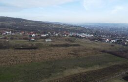 Teren 19.375 mp Dâmbu Rotund. Potențial rezidențial. Extravilan
