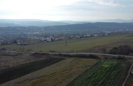 Teren 19.375 mp Dâmbu Rotund. Potențial rezidențial. Extravilan