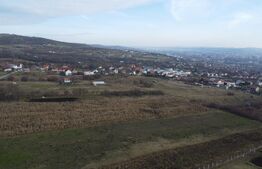 Teren 19.375 mp Dâmbu Rotund. Potențial rezidențial. Extravilan