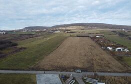 Teren 19.375 mp Dâmbu Rotund. Potențial rezidențial. Extravilan