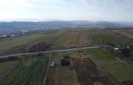 Teren 19.375 mp Dâmbu Rotund. Potențial rezidențial. Extravilan