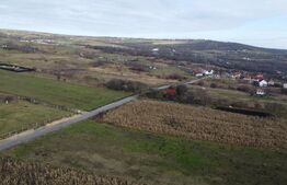 Teren 19.375 mp Dâmbu Rotund. Potențial rezidențial. Extravilan