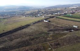 Teren 19.375 mp Dâmbu Rotund. Potențial rezidențial. Extravilan