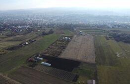 Teren 19.375 mp Dâmbu Rotund. Potențial rezidențial. Extravilan
