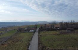 Teren 19.375 mp Dâmbu Rotund. Potențial rezidențial. Extravilan