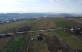 Teren 19.375 mp Dâmbu Rotund. Potențial rezidențial. Extravilan