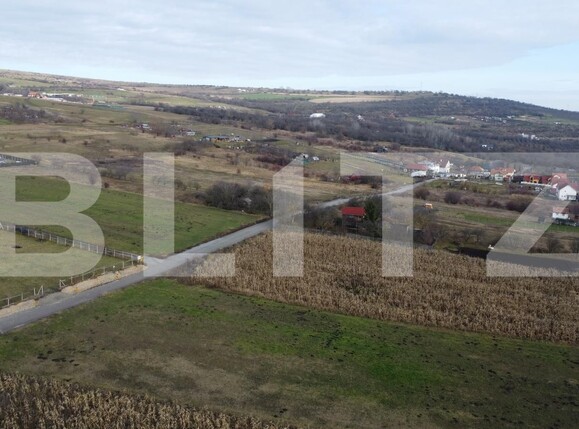 Teren de vânzare Dambul Rotund - 184249TV | BLITZ Cluj-Napoca | Poza5