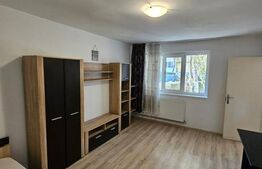 Apartament 1 camera, 28,5 mp, Zona Big-Manastur