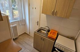 Apartament 1 camera, 28,5 mp, Zona Big-Manastur