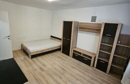 Apartament 1 camera, 28,5 mp, Zona Big-Manastur