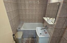 Apartament 1 camera, 28,5 mp, Zona Big-Manastur