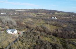 Teren 20.146 mp Dâmbu Rotund (Lomb).Extravilan.Potențial rezidențial