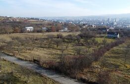 Teren 20.146 mp Dâmbu Rotund (Lomb).Extravilan.Potențial rezidențial
