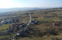 Teren 20.146 mp Dâmbu Rotund (Lomb).Extravilan.Potențial rezidențial