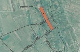 Teren 20.146 mp Dâmbu Rotund (Lomb).Extravilan.Potențial rezidențial