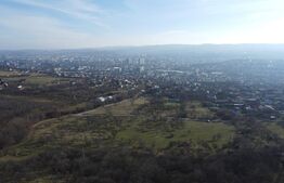 Teren 20.146 mp Dâmbu Rotund (Lomb).Extravilan.Potențial rezidențial