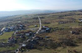 Teren 20.146 mp Dâmbu Rotund (Lomb).Extravilan.Potențial rezidențial