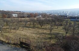 Teren 20.146 mp Dâmbu Rotund (Lomb).Extravilan.Potențial rezidențial