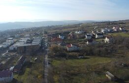 Teren 20.146 mp Dâmbu Rotund (Lomb).Extravilan.Potențial rezidențial