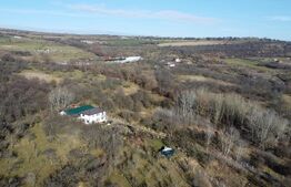 Teren 20.146 mp Dâmbu Rotund (Lomb).Extravilan.Potențial rezidențial