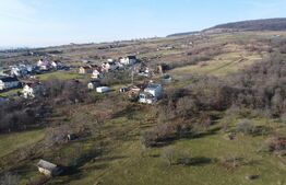 Teren 20.146 mp Dâmbu Rotund (Lomb).Extravilan.Potențial rezidențial