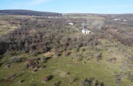 Teren 20.146 mp Dâmbu Rotund (Lomb).Extravilan.Potențial rezidențial