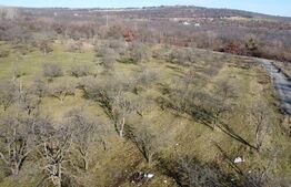 Teren 20.146 mp Dâmbu Rotund (Lomb).Extravilan.Potențial rezidențial