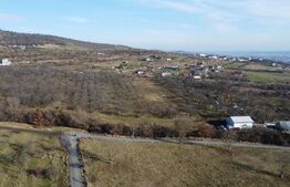 Teren 20.146 mp Dâmbu Rotund (Lomb).Extravilan.Potențial rezidențial