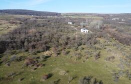 Teren 20.146 mp Dâmbu Rotund (Lomb).Extravilan.Potențial rezidențial