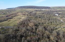 Teren 20.146 mp Dâmbu Rotund (Lomb).Extravilan.Potențial rezidențial