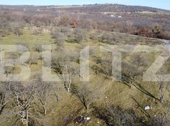 Teren de vânzare Dambul Rotund - 184272TV | BLITZ Cluj-Napoca | Poza7