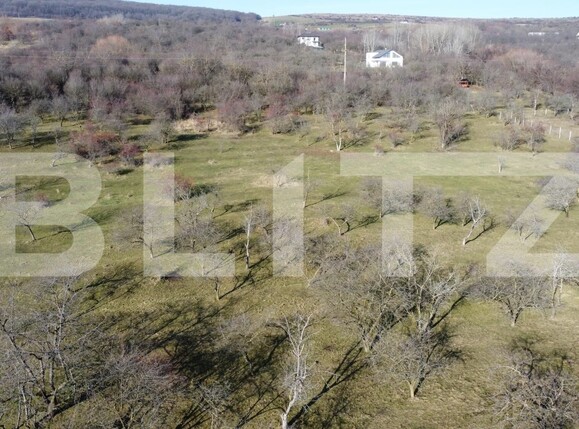 Teren de vânzare Dambul Rotund - 184272TV | BLITZ Cluj-Napoca | Poza10