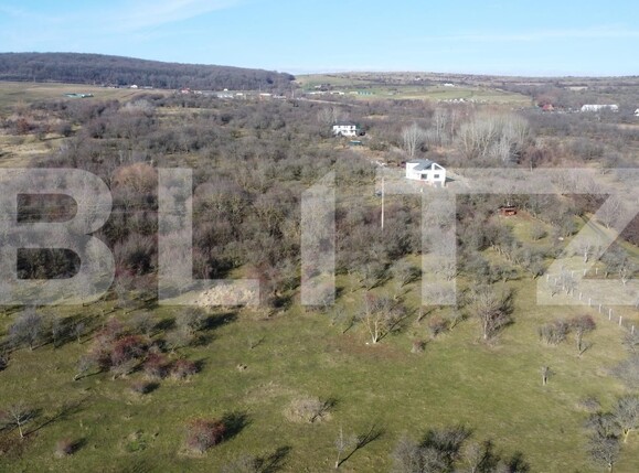 Teren de vânzare Dambul Rotund - 184272TV | BLITZ Cluj-Napoca | Poza8