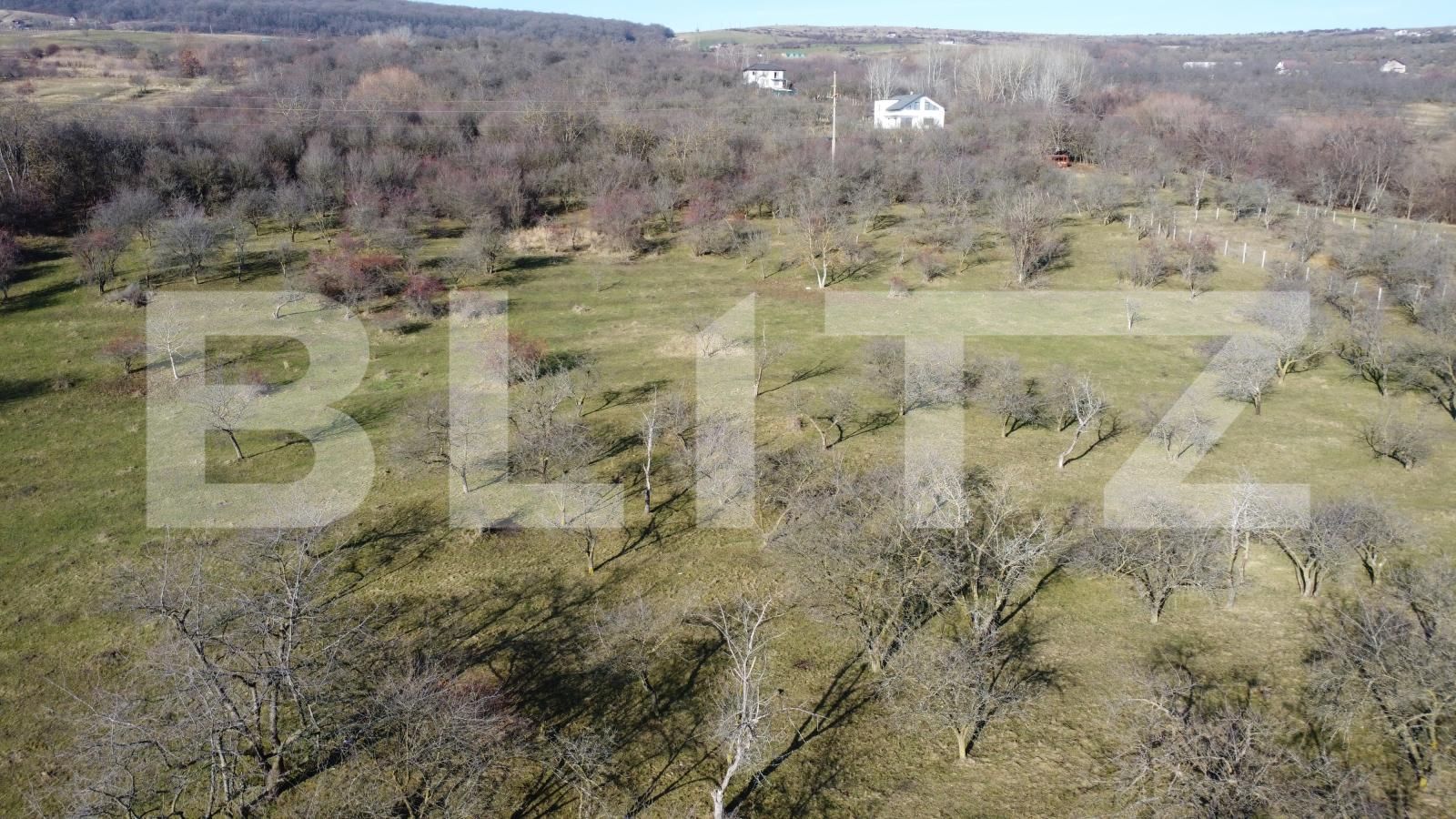 Teren de vânzare Dambul Rotund - 184272TV | BLITZ Cluj-Napoca | Poza10